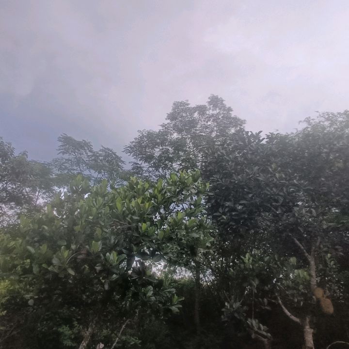Profile Picture of Phe Ah JACK (@ursecocdausieudau) on Tiktok