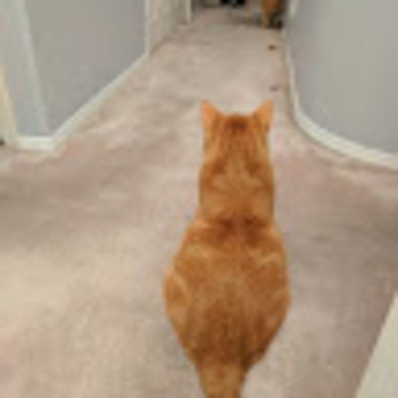 Profile Picture of Nicholas Pederson (@ghostrider17) on Poshmark