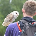 Profile Picture of Joshua Greaves (@Joshua-Greaves) on Facebook