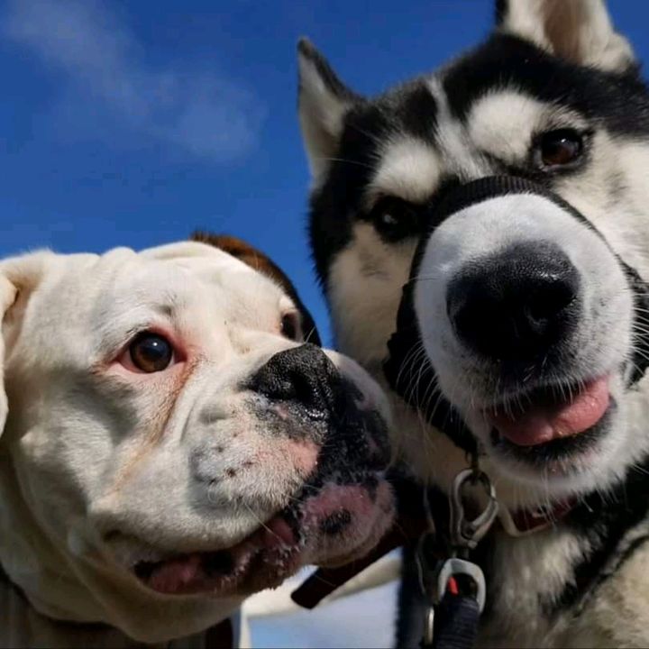 Profile Picture of Stephanie McGonigle (@stephmcgtellmeatail) on Tiktok