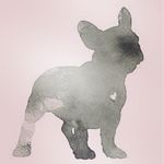 Profile Picture of Julia Willis (@jwill2212) on Instagram