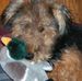 Profile Picture of Bennett Springs (@bennett.springs.9) on Facebook