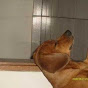 Profile Picture of joaomarcosbdo2008 (@@joaomarcosbdo2008) on Tiktok