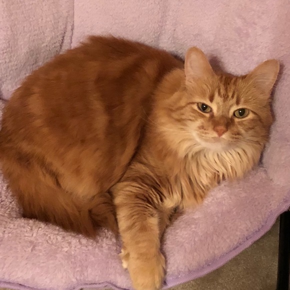 Gina Willemsen - Poshmark Profile Picture of Gina Willemsen (@gwillem) on Poshmark