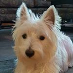 Profile Picture of Sherry Bergen (@sabergen) on Instagram