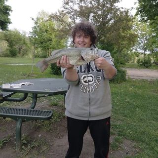 Profile Picture of Brandon Storms (@brandonstorms98) on Instagram