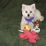 Profile Picture of Robert Fulton (@robert_fulton22) on Instagram