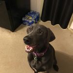Profile Picture of Nathan Conner (@nathancconner) on Instagram
