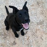 Profile Picture of katie byrd (@katie_byrd_2001) on Instagram