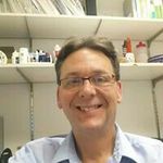 Profile Picture of James Valliere (@vallierejames) on Instagram