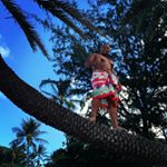 Profile Picture of Joshua Orcine (@orcinejoshua) on Instagram