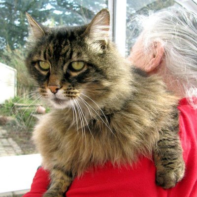 Profile Picture of Hélène Thomas (@helenethomas235) on Twitter