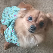 Profile Picture of Eric Rubinstein (@ericrubinstein3836) on Youtube