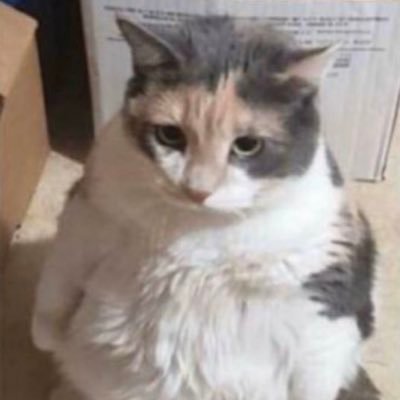 Profile Picture of Daniel Greenwald (@DanielGreenwa16) on Twitter