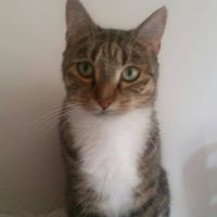 Profile Picture of Bree Watson (@bree-watson-2) on Quora