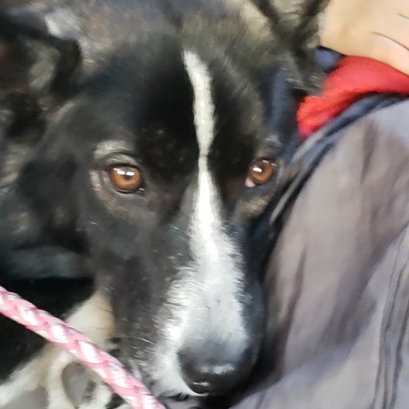 Profile Picture of Adam Largent (@adam_largent) on Poshmark