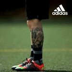Profile Picture of David Cayo (@cayo_david) on Instagram