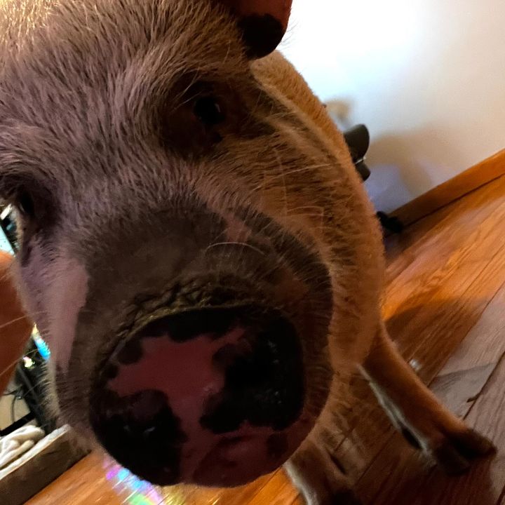 Profile Picture of Doug Don (@dougdon0) on Tiktok