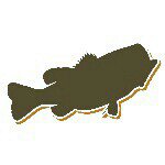 Profile Picture of Dillon Stein (@bassnewb) on Instagram