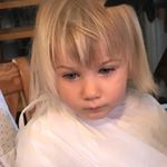 Profile Picture of Balog Peter (@stearman2020) on Instagram