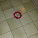 Profile Picture of B P (@brianpfleger) on Pinterest
