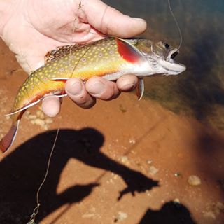 Profile Picture of Scott Relaford (@Scott-Relaford) on Facebook