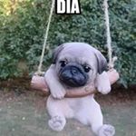 Profile Picture of Jose Guadron (@jose.guadron.1238) on Instagram