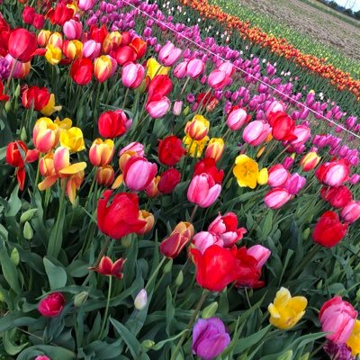 Profile Picture of Amrit Toor (@AmritToor6) on Twitter