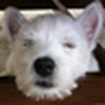 Profile Picture of Nicole Harmuth (@nicole.harmuth) on Flickr