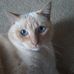 Profile Picture of Cindy Larson (@cindy.larson.7547) on Facebook