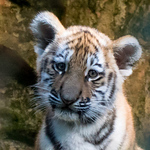 Profile Picture of Doris & Michael S. (@doris & michael s.) on Flickr