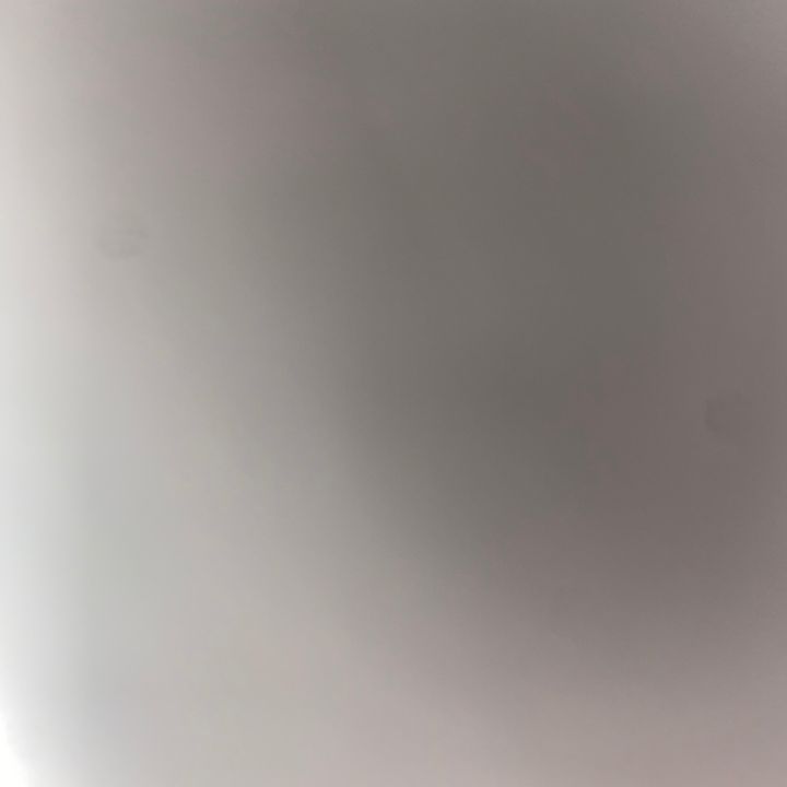 Profile Picture of Daniel Barbaro (@iamdanielbarbaro) on Tiktok