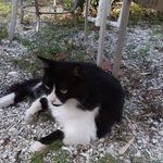 Profile Picture of George Larson (@george.larson.3766) on Instagram