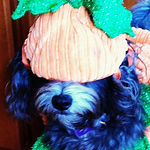 Profile Picture of Nicole Roberts (@kolbymaddie1) on Flickr