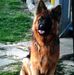 Profile Picture of Carl Hiles (@carl.hiles.144) on Facebook