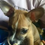 Profile Picture of James Crossland (@jtc5814) on Instagram