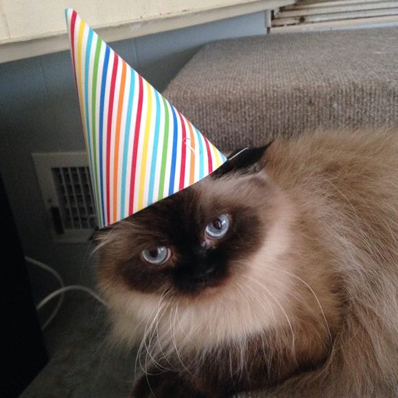 Profile Picture of June Jarnot (@junesworld5) on Poshmark