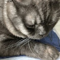 Profile Picture of Alex Qiu (@alex-qiu-44) on Quora