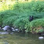 Profile Picture of Jeremy Childs (@pathwayessentialshealing) on Instagram