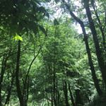 Ashkan.alizadeh - Instagram Profile Picture of Ashkan.alizadeh (@ashkan.alizadeh.p) on Instagram