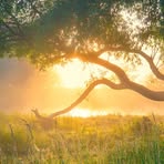 Paul Hogan - Facebook Profile Picture of Paul Hogan (@Paul-Hogan) on Facebook