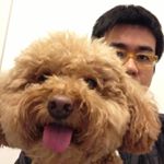 Profile Photo of Alan Cheng (@alan_cheng_chemistry_team) on Instagram