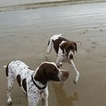 Profile Picture of Lynn Gibbs (@lynngibbs50) on Instagram