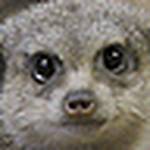 Profile Picture of It's Deanna (@It's Deanna) on Flickr