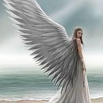 Amber Press - Instagram Profile Picture of Amber Press (@amber_press) on Instagram