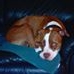 Profile Picture of Jake Bolin (@jake.bolin.79) on Facebook