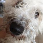 Profile Picture of Cecilia madrigal alfaro (@ceciliamadrigalalfa) on Instagram