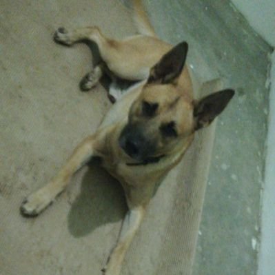 Profile Picture of Adrian Arthuron Twitter