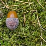 Profile Picture of TamiSheets (@tamisheets) on Instagram