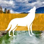Profile Picture of Josh Donahue (@pocketdogtrainer) on Instagram